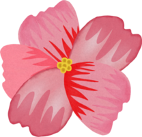peinture fleur de sakura. png