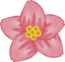 pintura de flor de sakura. png