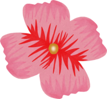 peinture fleur de sakura. png