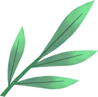 watercolour green leaf png