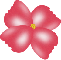 peinture fleur de sakura. png