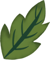 hoja verde acuarela png