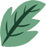 watercolour green leaf png