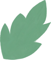 watercolour green leaf png