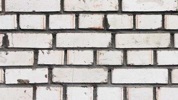 Bricks wall texture. Urban street wall. video