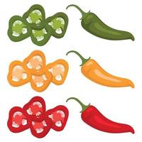 Vector set of hot peppers. Yellow, red, green pepper. Slices of hot pepper. Hot pepper pods and slices.