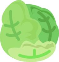 vers groen kool illustratie eetpatroon groente element png