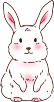 ilustración de conejito de conejo blanco png