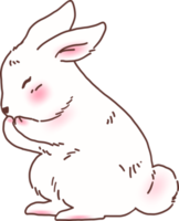 ilustración de conejito de conejo blanco png