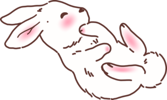 illustration de lapin lapin blanc png