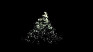 il aspetto di un' Natale albero su un' nero sfondo video