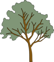 conception plate de dessin à main levée d'arbre de simplicité. png