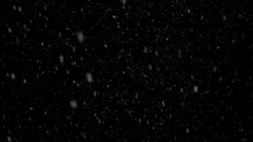 falling snow video loop free download