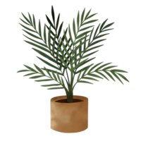 illustration de plantes en pot. plantes d'intérieur. png