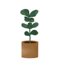 ilustração de vasos de plantas. plantas da casa. png