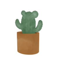 illustration de plantes en pot. plantes d'intérieur. png