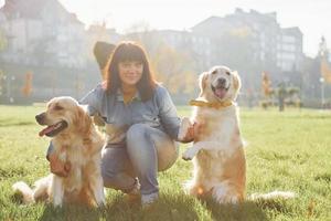 Woman have a walk with two Golden Retriever dogs in the park photo