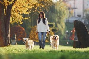 Brunette walks with two Golden Retriever dogs in the park at daytime photo