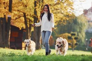 Brunette walks with two Golden Retriever dogs in the park at daytime photo