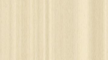 Maple wood surface seamless texture loop. Wooden maple board panel background.Maple wood surface seamless texture. Maple wooden board panel background. Vertical across tree fibers direction. video