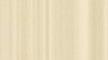 Maple wood surface seamless texture loop. Wooden maple board panel background.Maple wood surface seamless texture. Maple wooden board panel background. Vertical across tree fibers direction. video