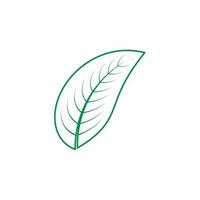 leaf nature logo vector