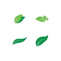 leaf nature logo vector