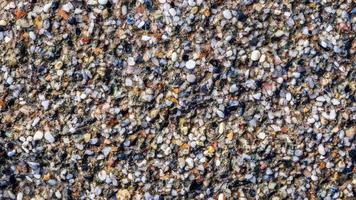 mare roccia scogliera struttura ciclo continuo. ruvido marino sfondo. video