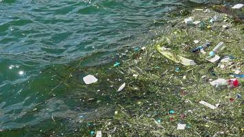 skräp och grön färgad plast sopor ackumulerade på de havsstrand video