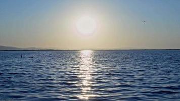 vue parfaite sur l'océan ligne d'horizon depuis la plage de l'île video