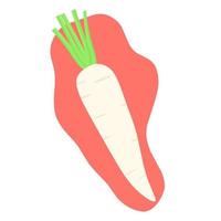 Vector illustration of white radish with green leaves on red background. Daikon radish is good for cooking soup, tongseng and as a seasoning.