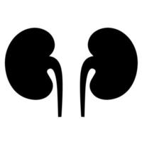 Left and right kidney vector icon on white background. Human internal organs concept monochrome style.