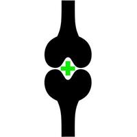 Kneebone icon with green health symbol on white background. The concept of maintaining the health of the shins of the feet. Vector illustration