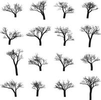 Tree Shapes without Leaves, Leafless Trees Illustration, Dead Tree vector