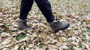 los pies de las mujeres, calzados con botas de invierno, caminan a lo largo de las hojas caídas sobre la hierba verde. video