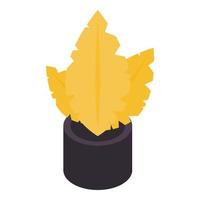 Gold flower pot icon, isometric style vector