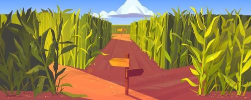 Cornfield with wooden road pointers plant stems vector