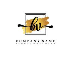 BV Initial handwriting logo concept vector
