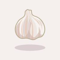 Fresh garlic hand drawn cartoon illustration vector