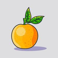 Fresh Orange fruit hand drawn cartoon illustration vector