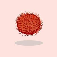 Fresh rambutan hand drawn cartoon illustration vector