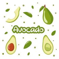 Aguacate entero con hojas, mitad y rebanada. linda colección. conjunto de ilustración fresca. aislado sobre fondo blanco. estilo plano ideal para poster, pancarta, fondo, menú, paquete, pegatina, impresión. vector