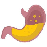 Stomach which can easily modify or edit vector