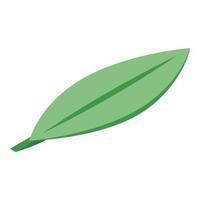 Mango leaf icon, isometric style vector