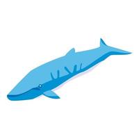 Marine whale icon, isometric style vector