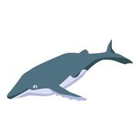 Old whale icon, isometric style vector