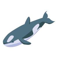 Orca whale icon, isometric style vector