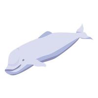 White whale icon, isometric style vector