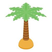 Palm tree icon, isometric style vector