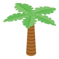 icono de palmera, estilo isométrico vector